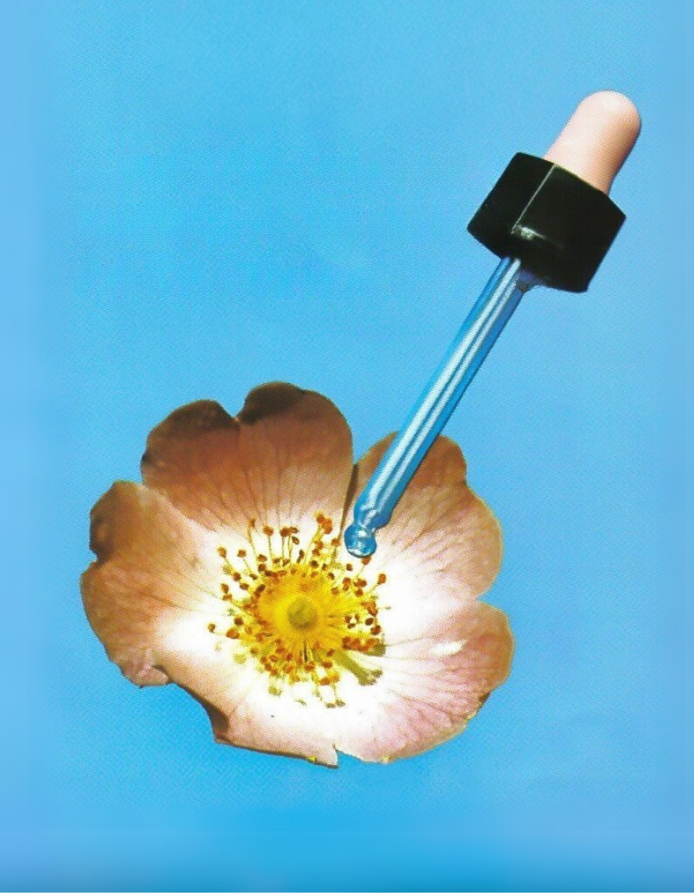 Fiori di Bach e clorofilla per lo sport e il benessere