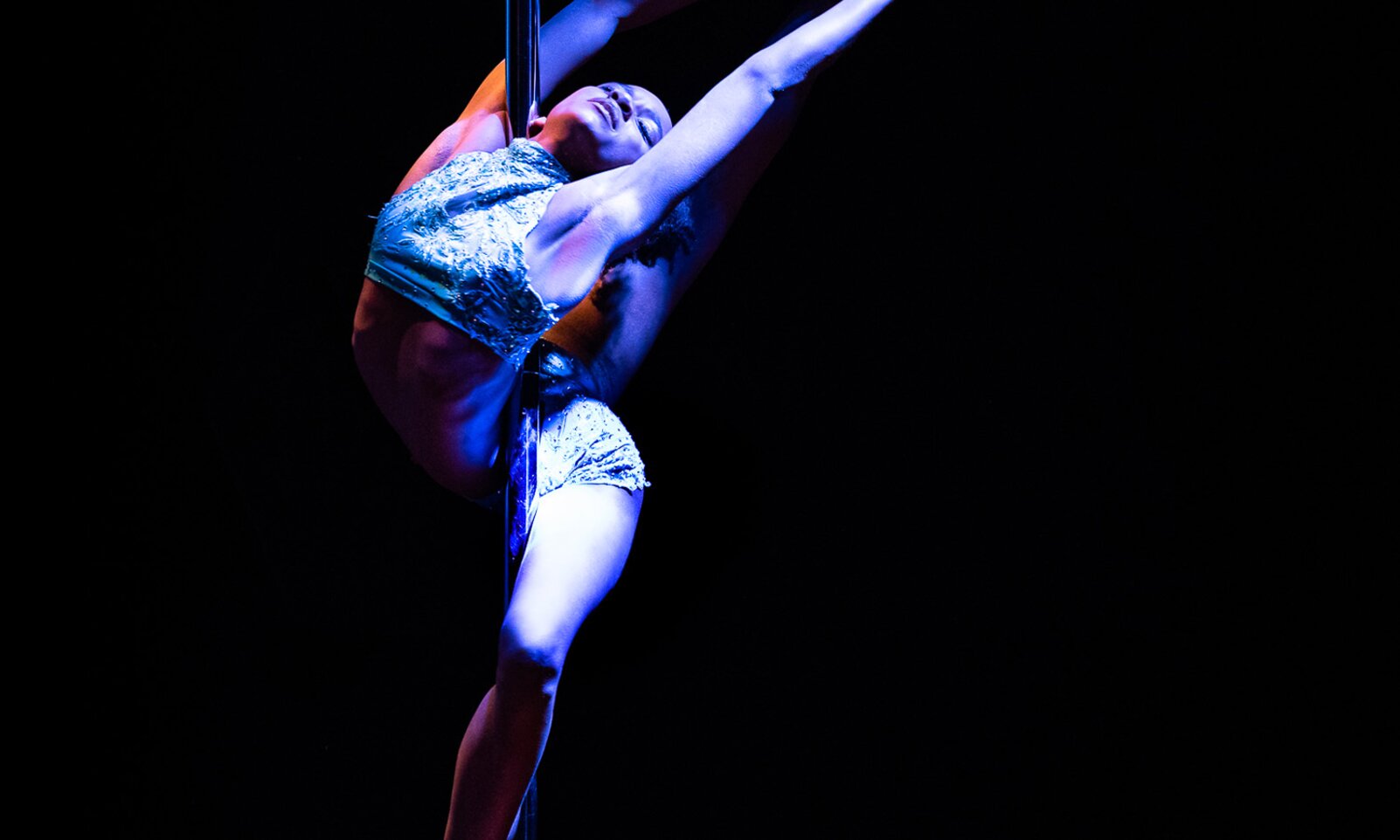 THEPOLE - pole dancing and aerial arts